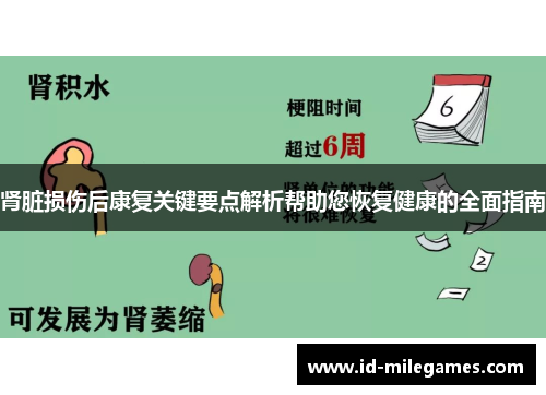 肾脏损伤后康复关键要点解析帮助您恢复健康的全面指南